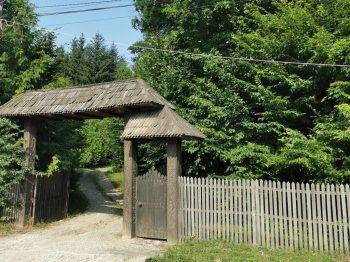 IMG_20210726_093420 IMG_20210726_093420